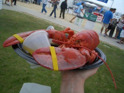 Redondo Beach Lobster Festival 2008
