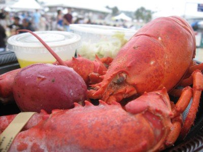 Tasty, steamed lobster.