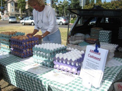 Mira Mesa Farmer's Market - Egg Lady Mira Mesa Farmer's Market - Egg Lady