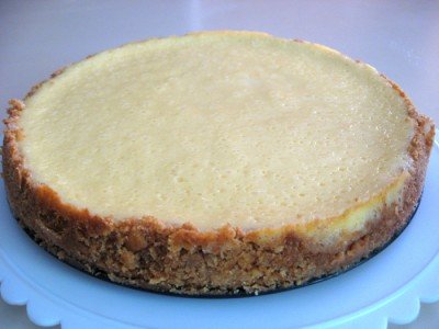 New York Style Sour Cream Cheesecake - Closeup