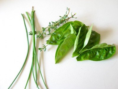 Fresh Herbs - Chives, Thyme and Basil