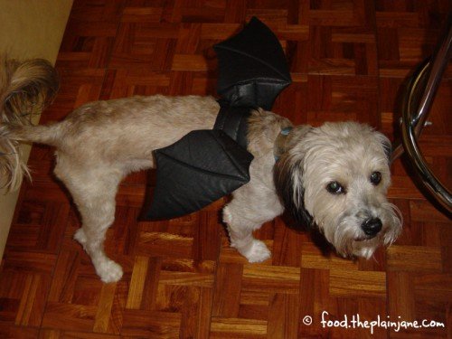 Bat Dog
