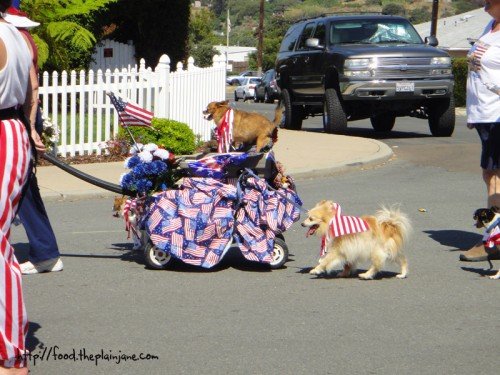 patriotic-puppies