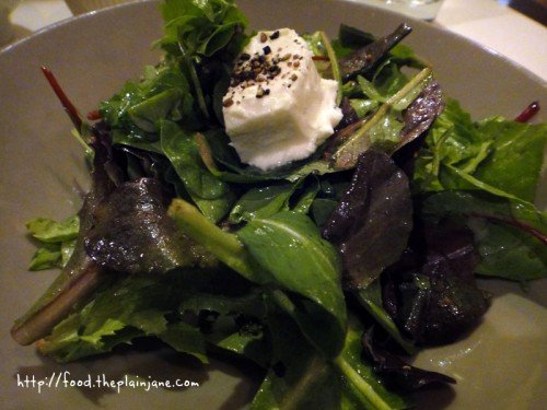 goat-cheese-argula-salad-savory