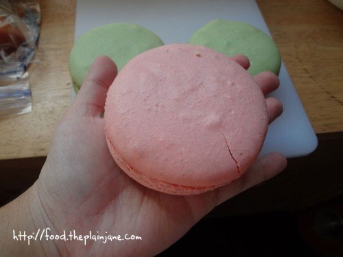 palm-size-macarons