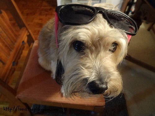 maya-sunglass-model