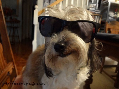 pro-sunglass-model