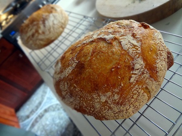 homemade-bread-loaves