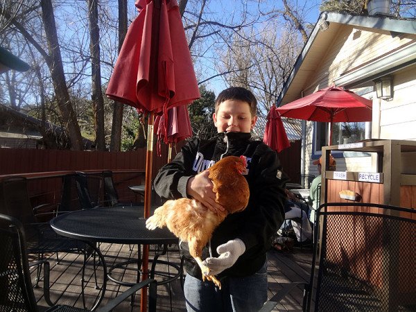 friendly-chicken