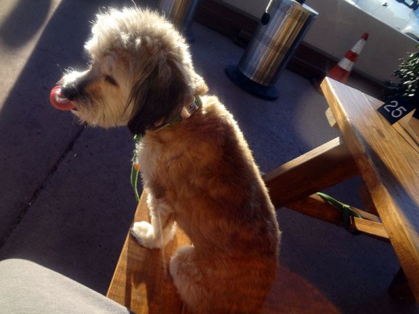 maya-tongue-curl