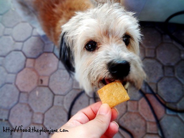 maya-approved-crackers