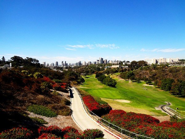 view-from-tobeys-19th-hole