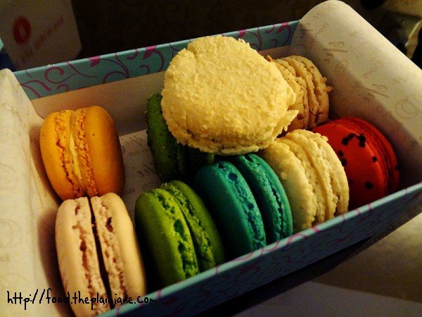 smooshed-macaron