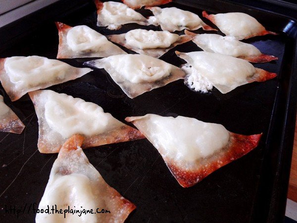 partially-baked-wontons