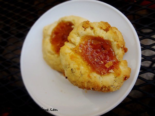 apricot-rosemary-cookies