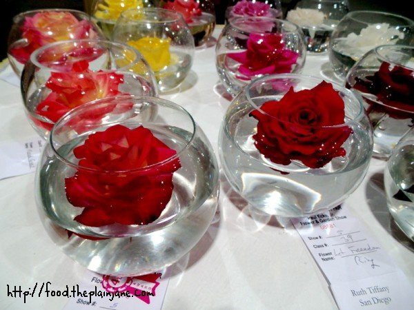 bowls-of-roses