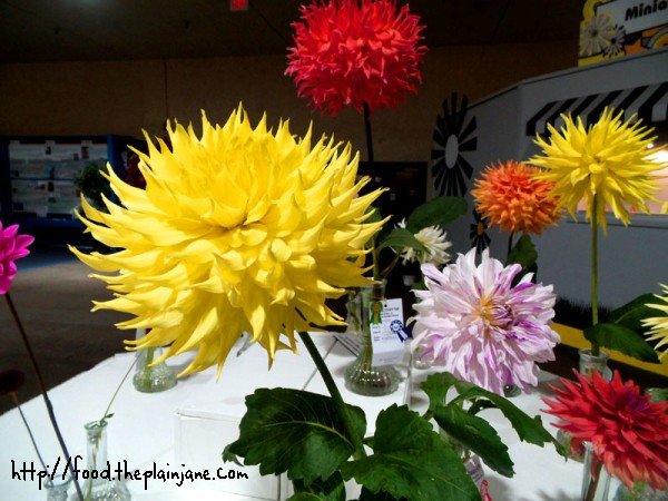 dr-suess-looking-flowers