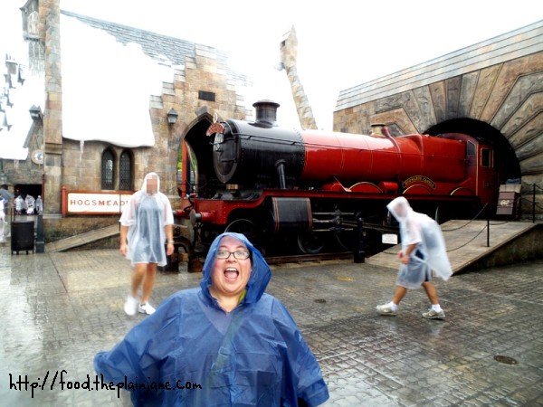 hogwarts-express-and-mary
