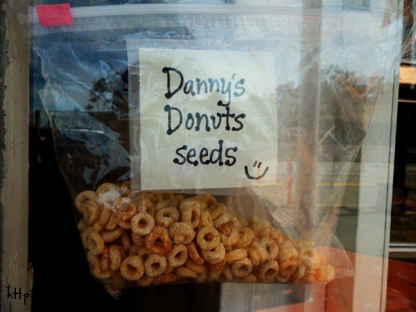 donut-seeds