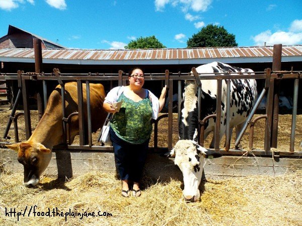 mary-with-cows-at-flayvors-of-cook-farm