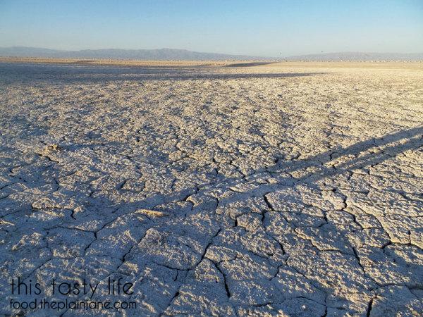 dry-bed-salton-sea