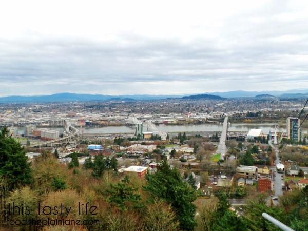 view-at-top-portland-aerial-tram