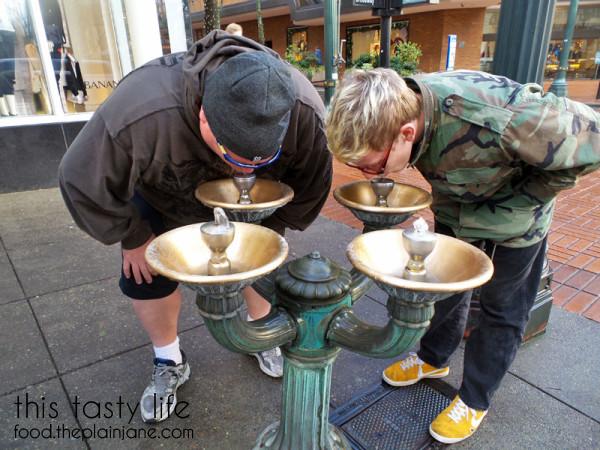 water-fountains-downtown-portland