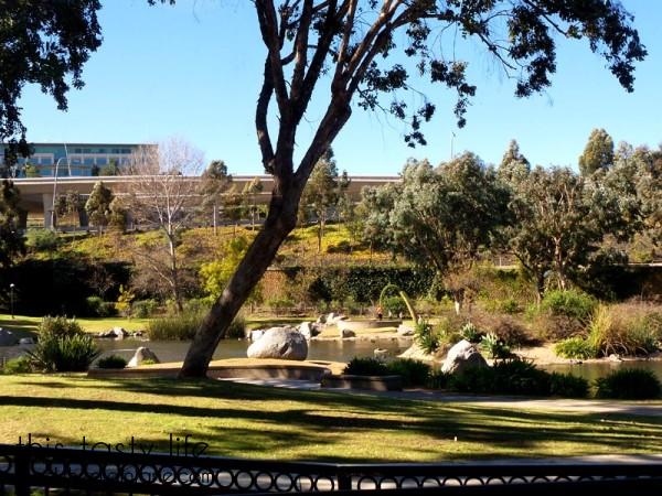 pond-behind-restaurant