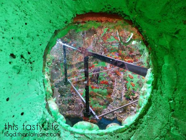 crystal-cave-porthole