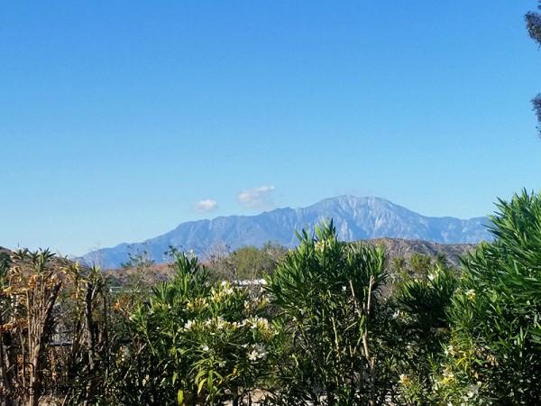 mountain-view
