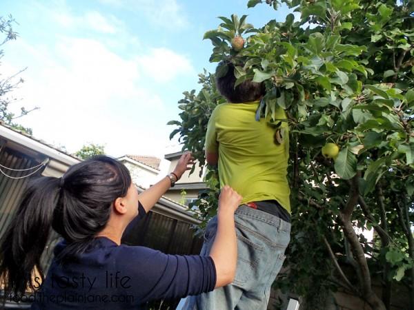 faye-s-picking-apples