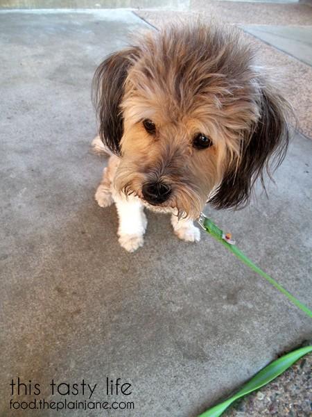 fluffy-hair-top-maya