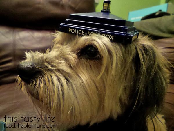 tardis-hat-maya