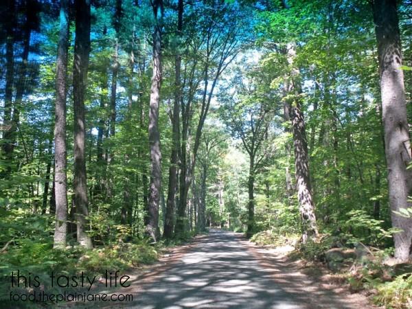 trees