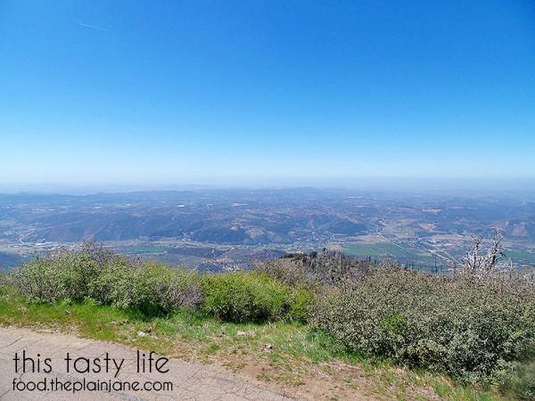 lookout-tower-view-palomar-mountain