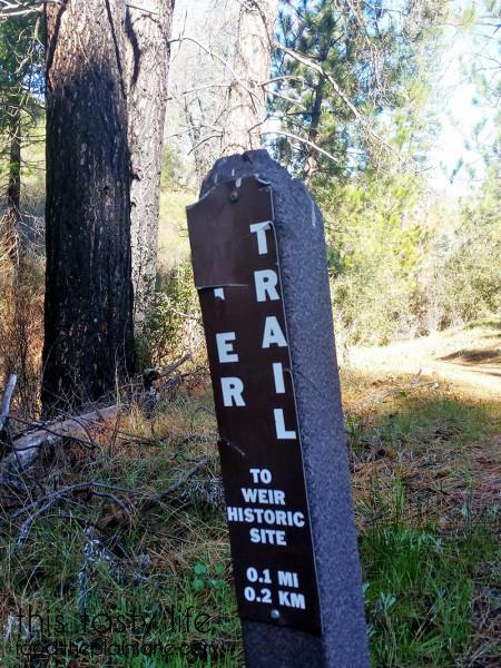 trail-marker-weird