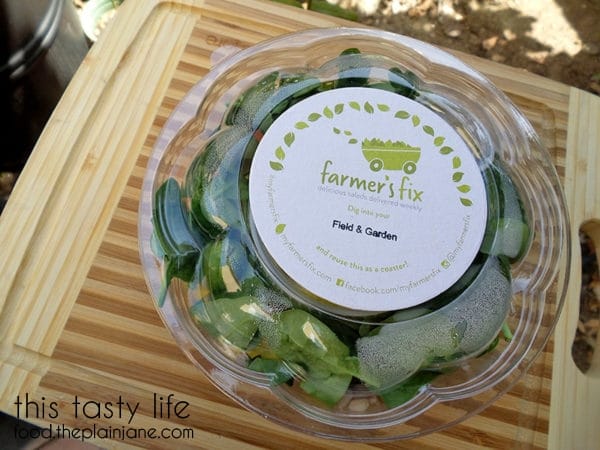 Field and Garden Salad | Farmer's Fix - San Diego, CA