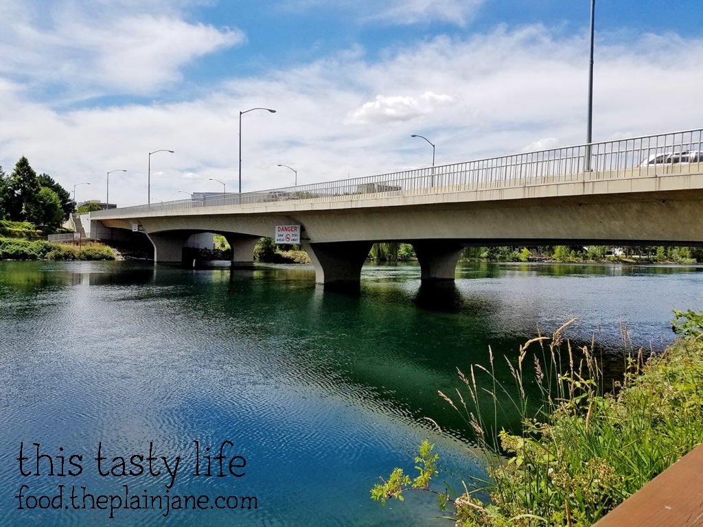 river-view-from-hotel