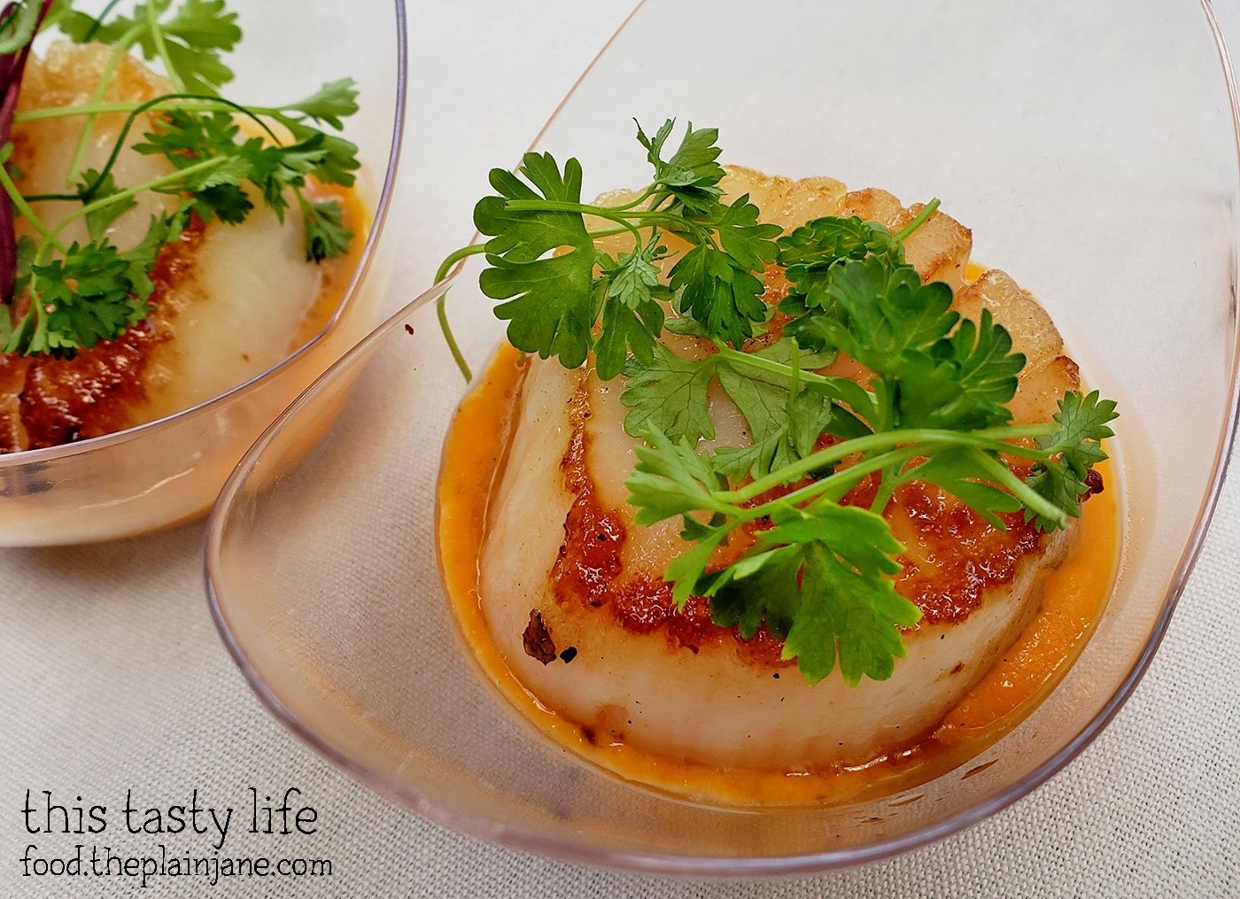 Recap of Taste of Point Loma 2018