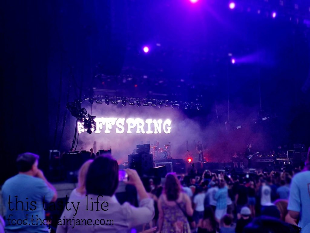 The Offspring Concert in San Diego, CA