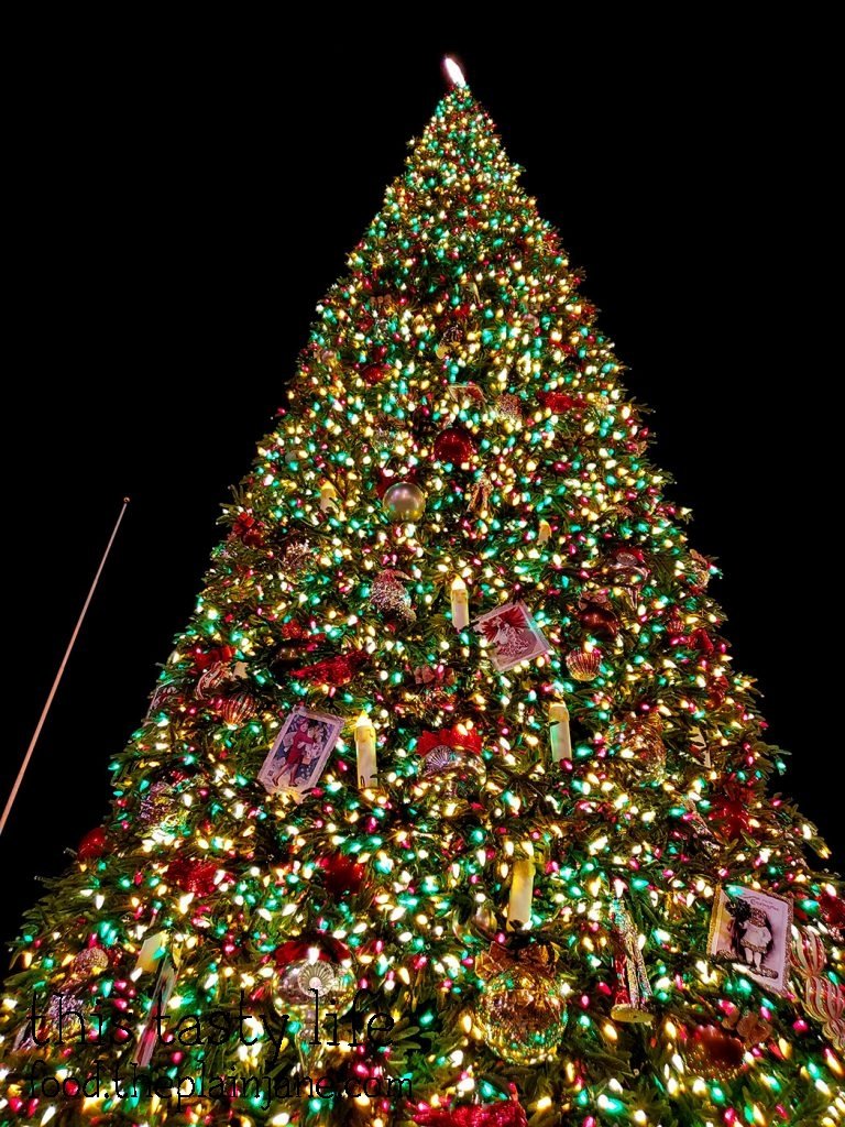 Christmas Tree on Main Street - Disneyland