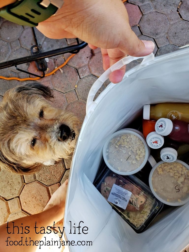 My dog investigating the bag from Eat Clean Meal Prep
