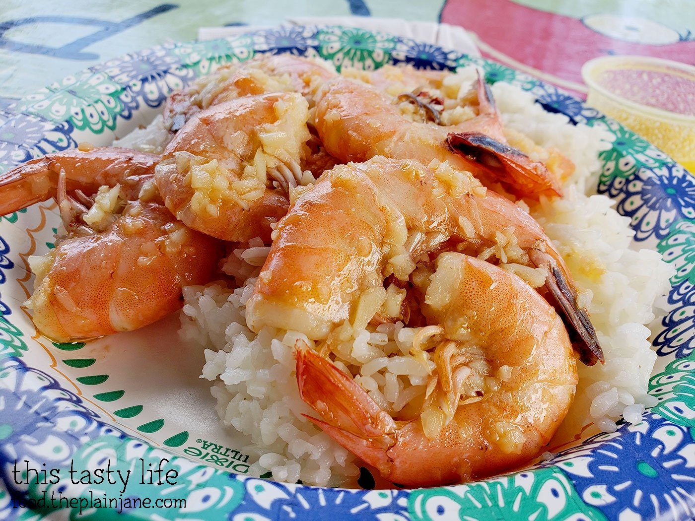 Exploring the Windward Side of Oahu