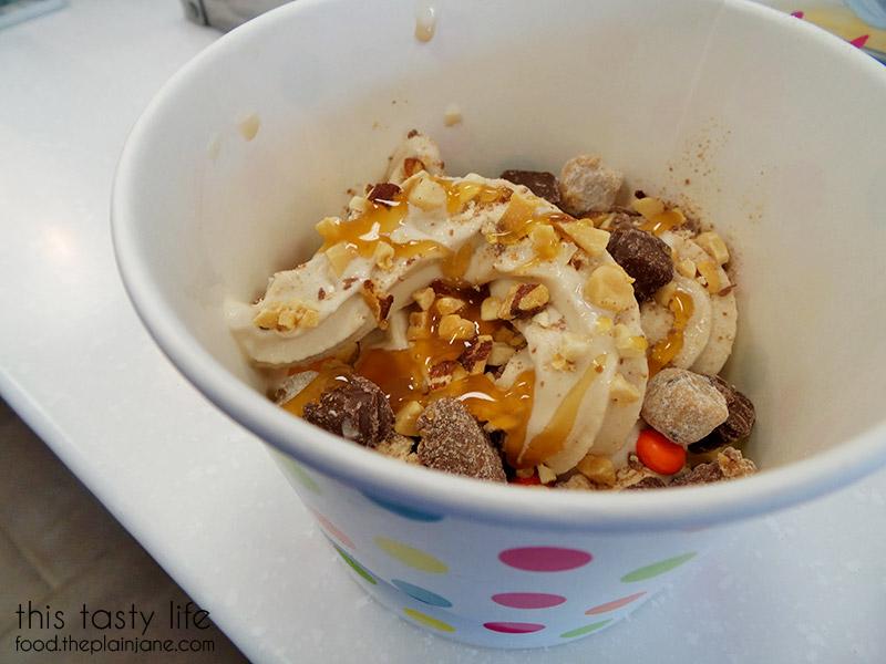 bailey’s frozen yogurt