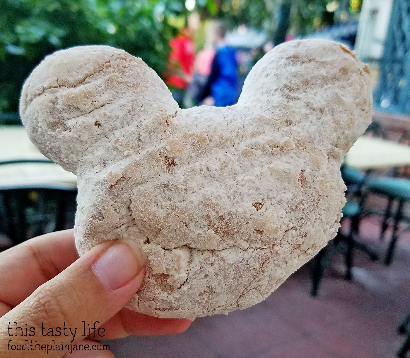 Celebrating My Birthday at Disneyland + The Food